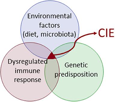 Canine chronic enteropathy—Current state-of-the-art and emerging concepts